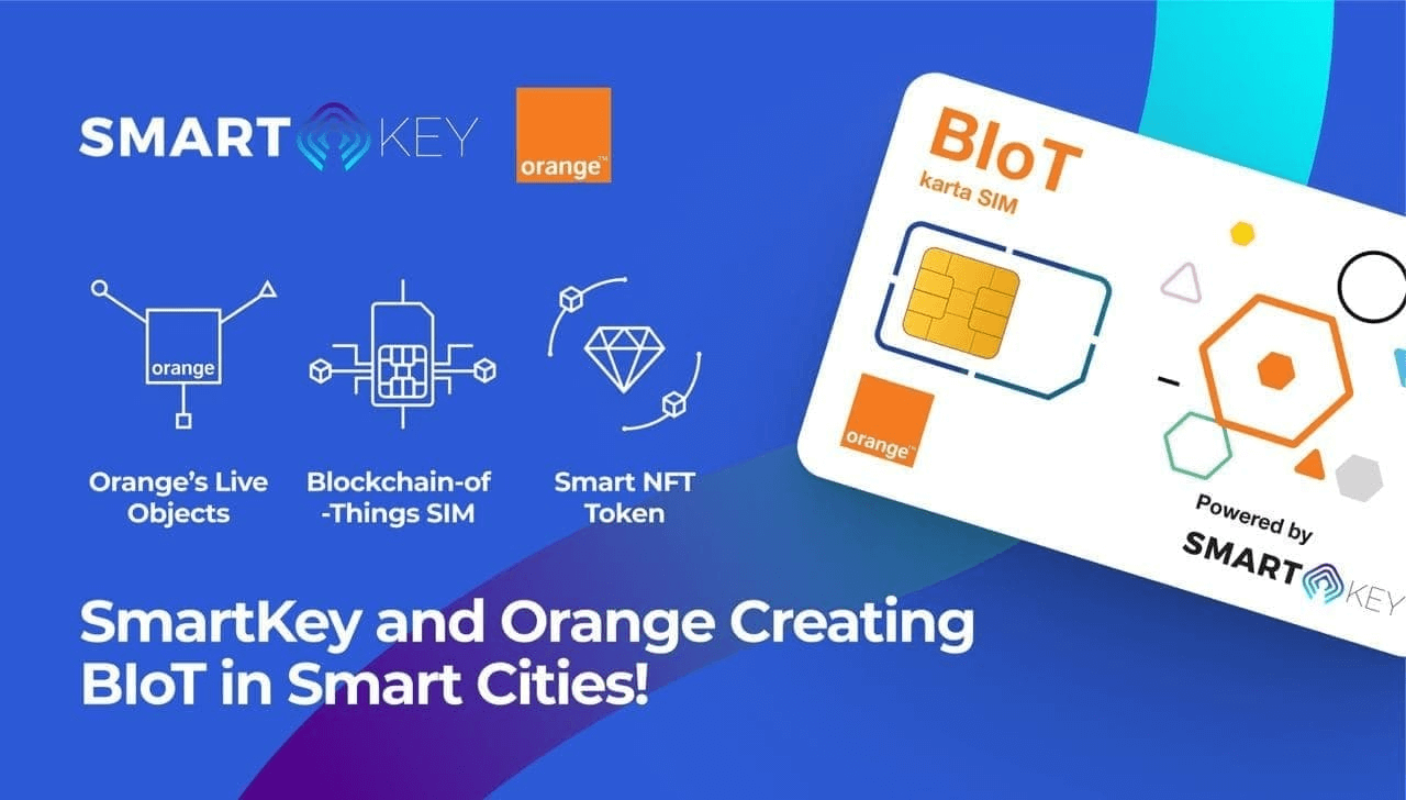 SmartKey Orange