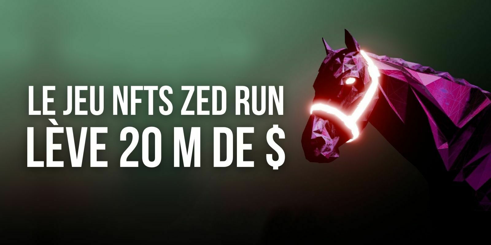 Virtually Human Studio (VHS) lève 20 millions de dollars pour développer le jeu NFT Zed Run