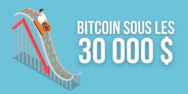 Bitcoin (BTC) sous les 30 000 dollars – Où sont les institutionnels ?