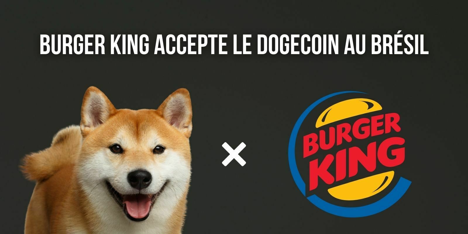 Burger King accepte le Dogecoin (DOGE) au Brésil... pour de la nourriture pour chiens