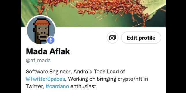 NFT Twitter intégration vérification NFT Twitter intégration vérification