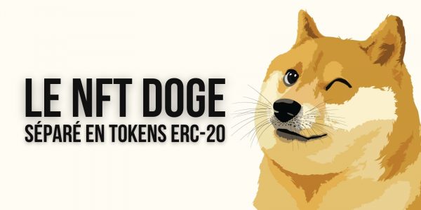 Pourquoi le NFT « Doge » vient-il d’être séparé en 17 milliards de tokens ERC-20 ?