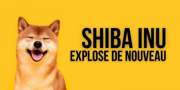 Le cours du Shiba Inu (SHIB) explose de nouveau : +214% sur la semaine
