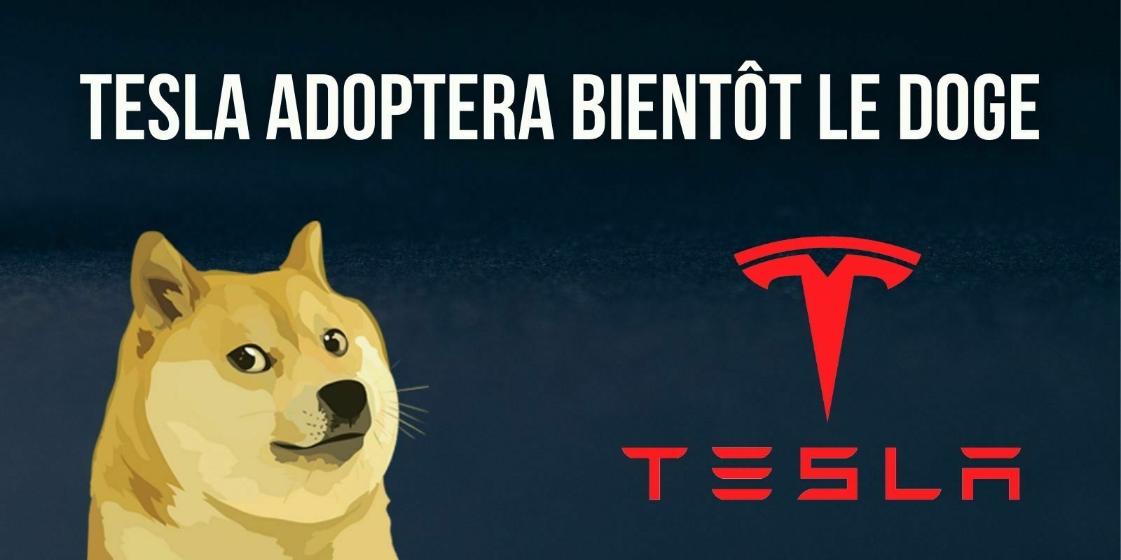 Elon Musk : Tesla prévoit d'accepter les paiements en Dogecoin (DOGE) pour certains produits