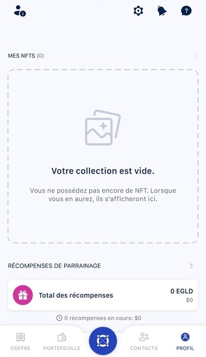 Collection NFTs Maiar