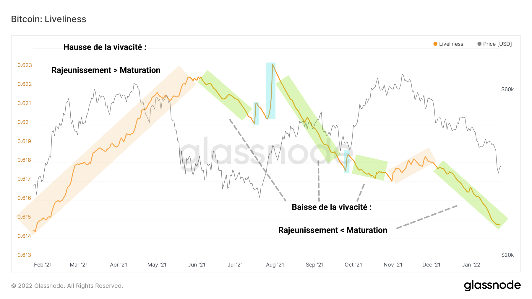 BTC Vivacité 250122