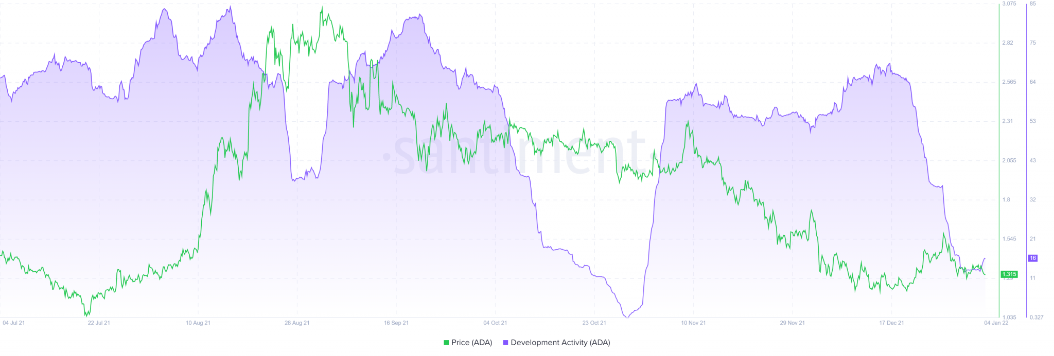 Activité développement Cardano