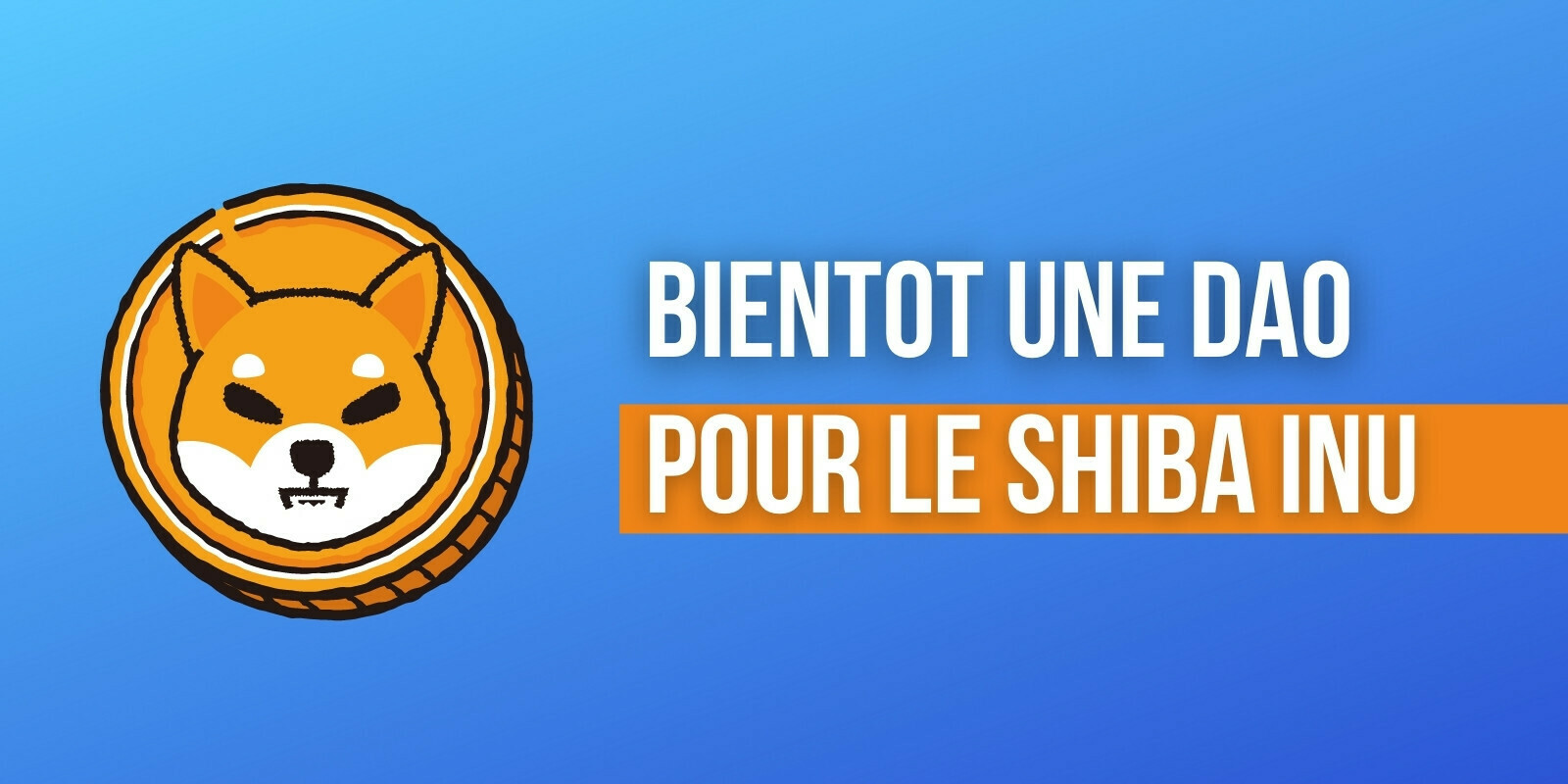 Le Shiba Inu (SHIB) va se doter d'une DAO afin de donner du pouvoir à sa communauté