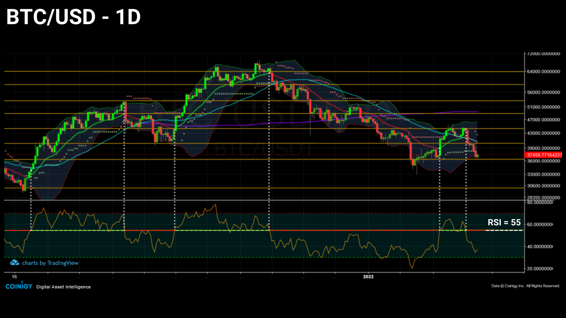 Graphique Cours Bitcoin Daily