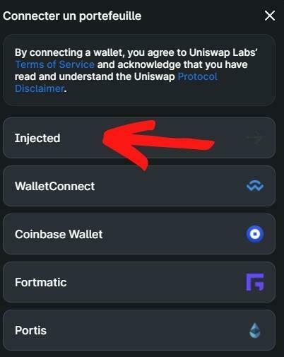 Connexion Injected Connexion Injected