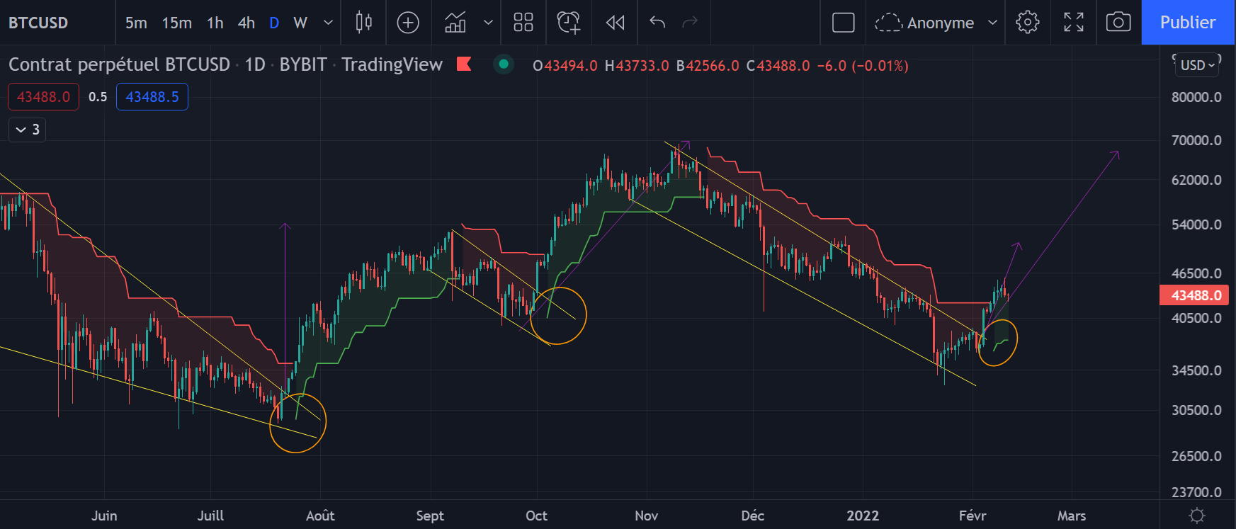 Graphique journalier du Bitcoin 