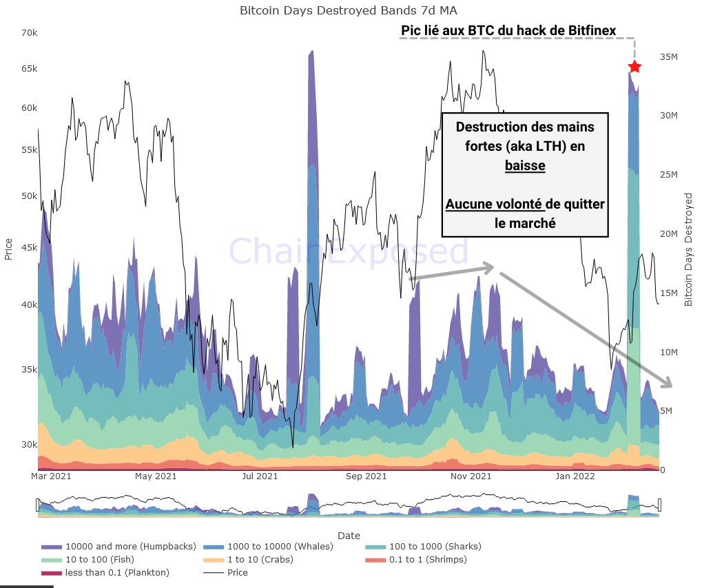 BTC CD Bands 220222022