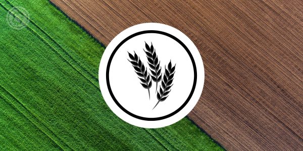 Santander proposera des prêts garantis par des tokens basés sur des produits d'agriculture