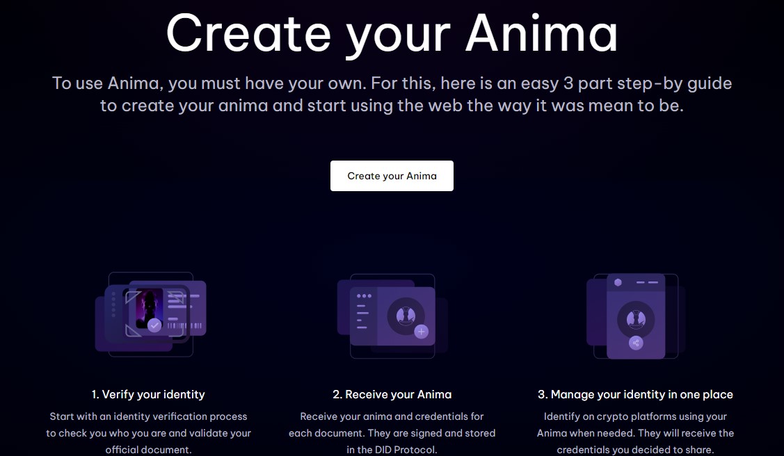 Création Anima Création Anima