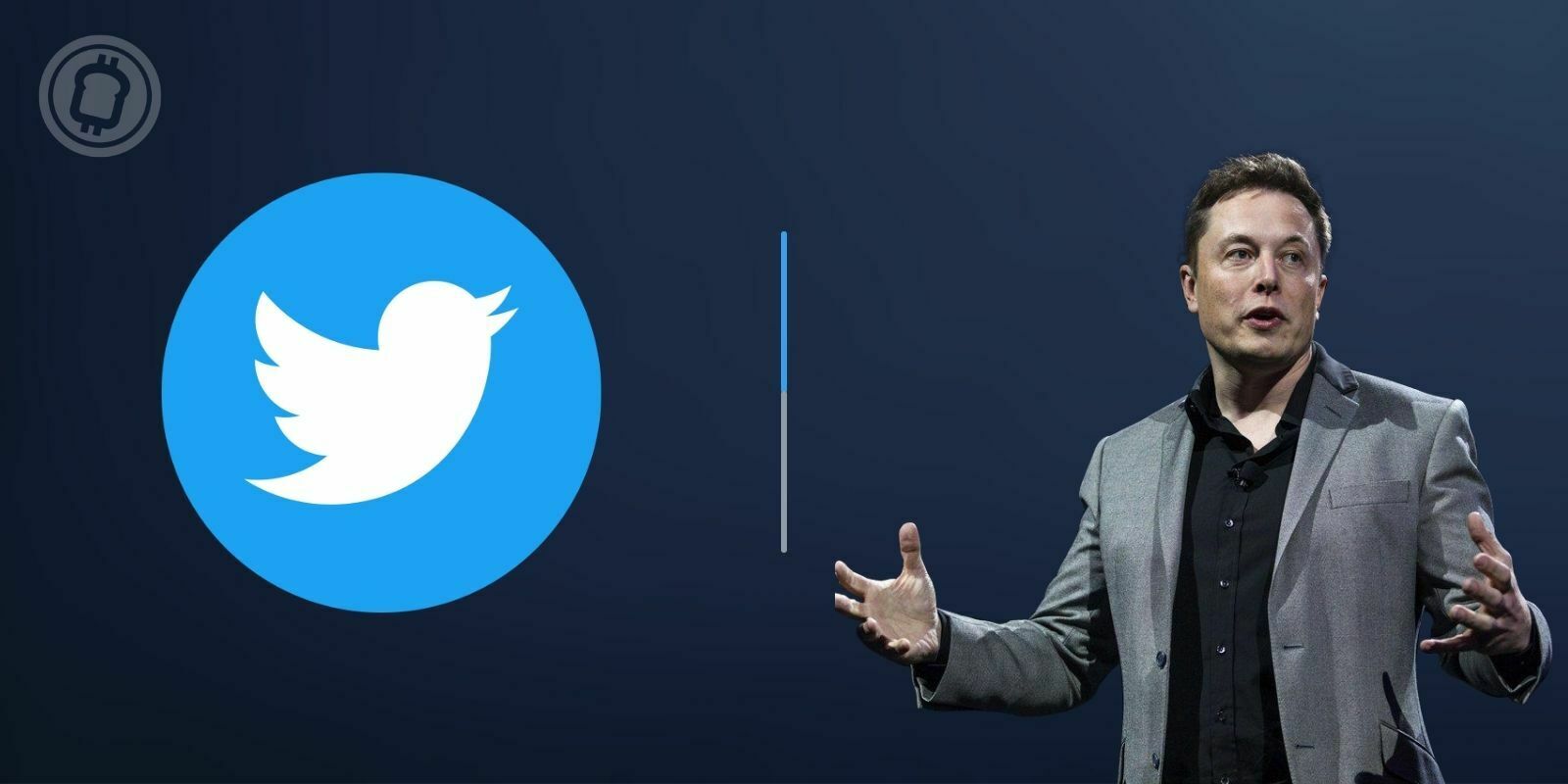 Elon Musk ne rejoindra pas le conseil d'administration de Twitter