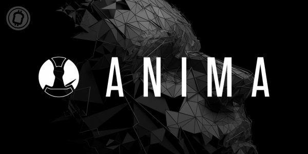 Anima, le protocole d’identité décentralisée de Synaps qui révolutionne les KYC