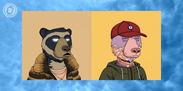 Solana : Les NFTs « Okay Bears » génèrent 18 millions de dollars en 24h