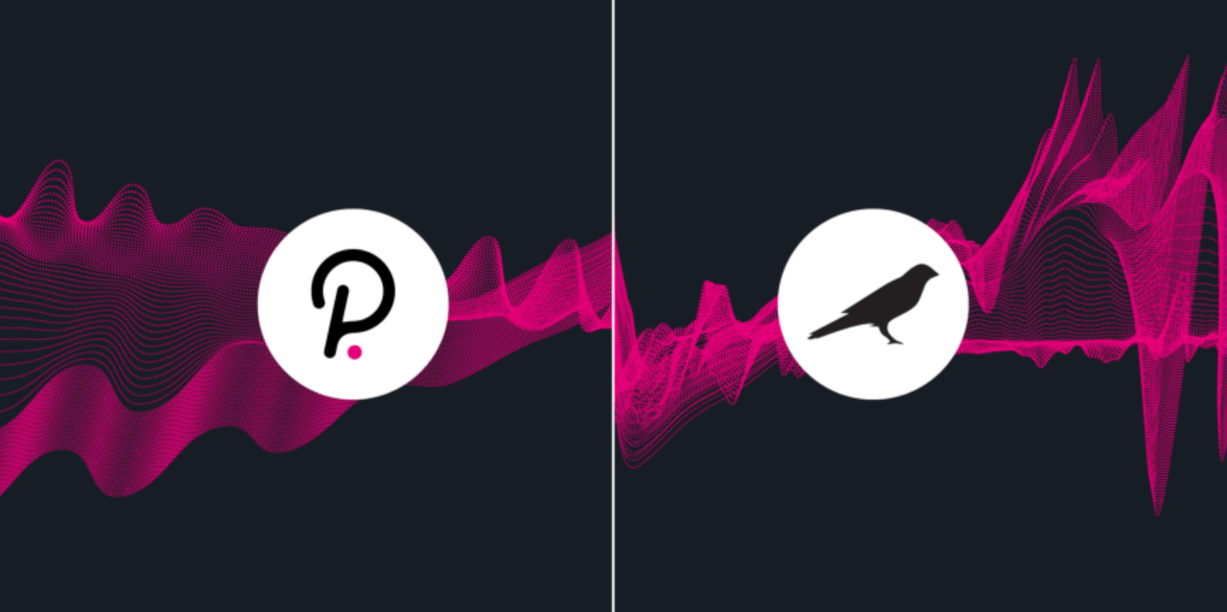 Kusama et Polkadot Kusama et Polkadot