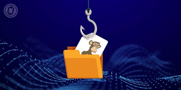 Les NFTs BAYC pourraient être la cible d’une nouvelle attaque, selon le cofondateur de Yuga Labs 