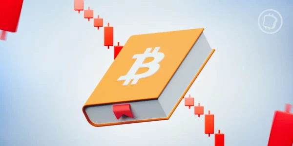 Comment affronter un bear market ? Les bonnes pratiques à suivre