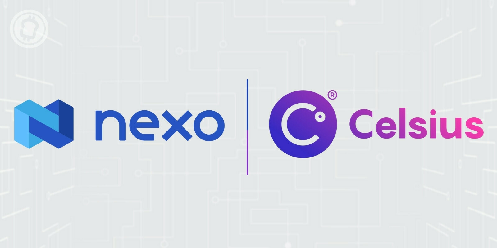 Nexo propose de racheter des actifs de Celsius alors que cette dernière se trouve en difficulté