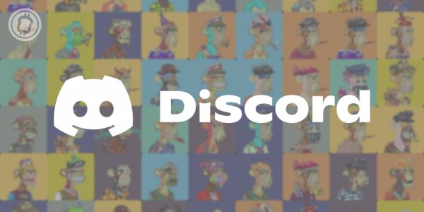 Selon un des co-fondateurs du BAYC, la plateforme Discord est inadaptée au Web 3.0