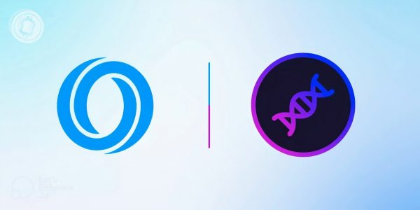 L'USDT perd 88% de sa valeur sur le bridge EvoDeFi de la blockchain Oasis : a-t-on affaire à un rugpull ?