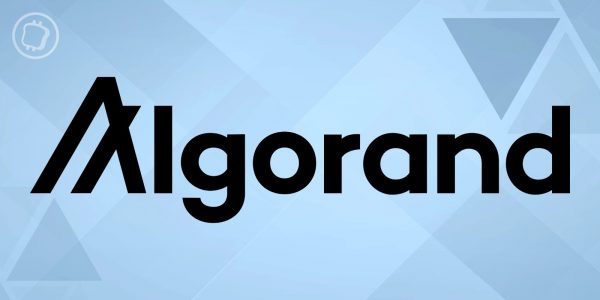 MNBC : Algorand (ALGO) encourage les banques centrales à construire sur son écosystème