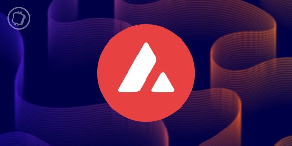 Avalanche (AVAX) : Ava Labs en difficulté face au FUD et aux rumeurs ambiantes