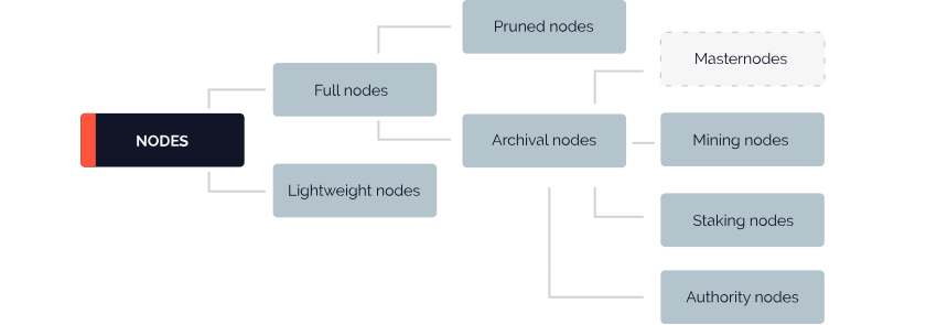 types de noeuds types de noeuds