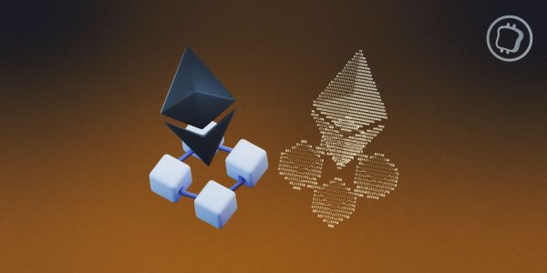 Quelles sont les différences entre un mainnet et un testnet ?