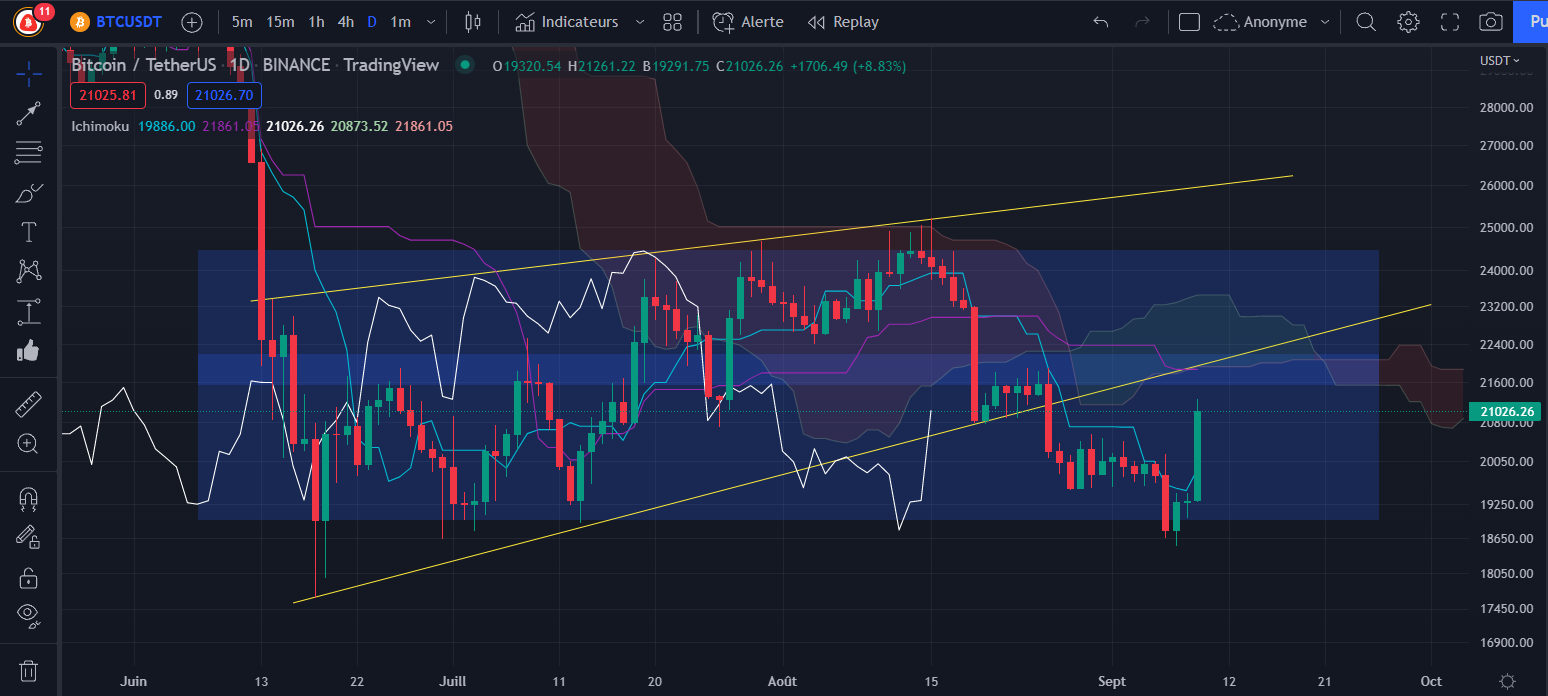 Figure 1 : Graphique du cours du Bitcoin Daily par Tagado