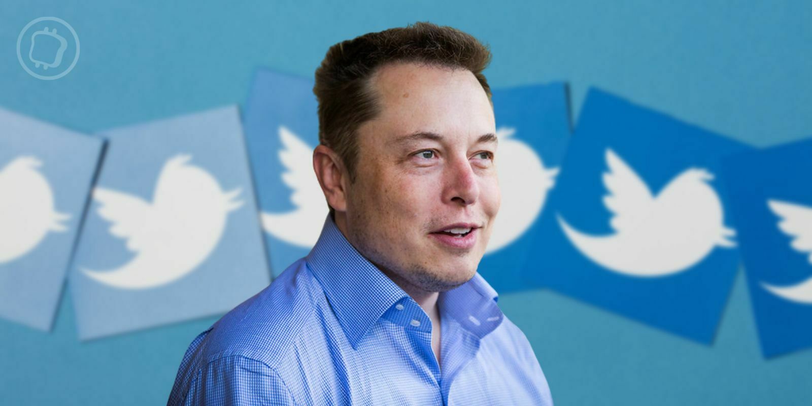 Les utilisateurs de Twitter devront-ils bientôt acheter du DOGE pour tweeter ?