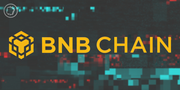Hack de la BNB Smart Chain : une prime à plusieurs millions de dollars pour attraper le pirate