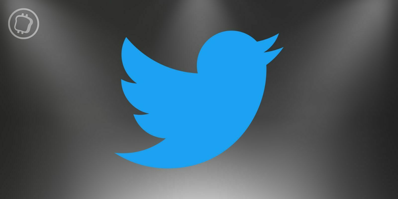 50 % des effectifs licenciés : Twitter « perd plus de 4 millions de dollars par jour »