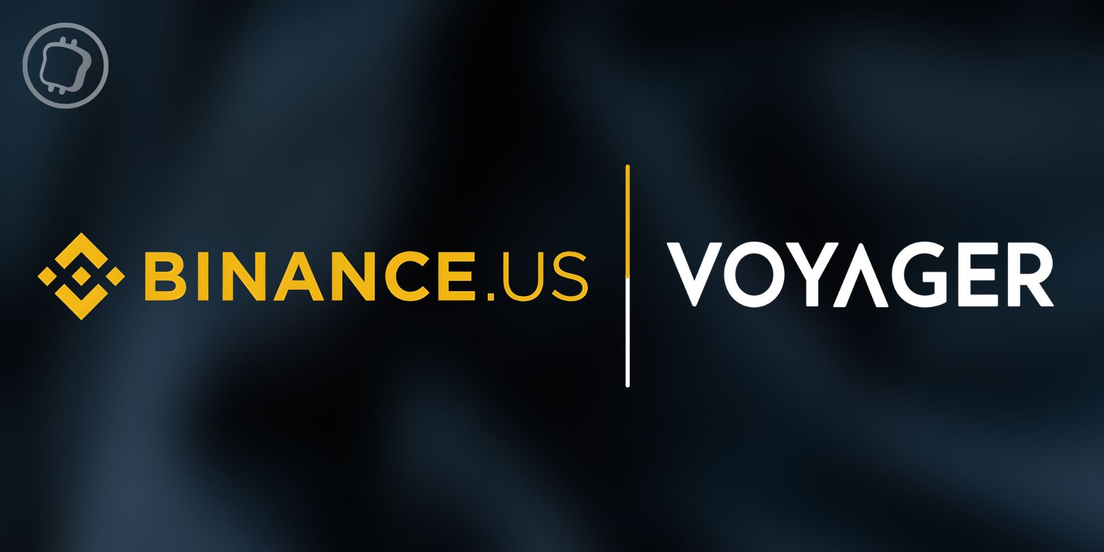Changpeng Zhao (CZ) confirme que Binance.US va soumettre une offre à Voyager Digital