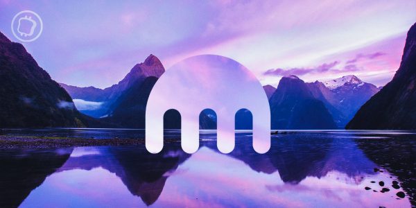 Hiver crypto : Kraken licencie 30 % de son personnel