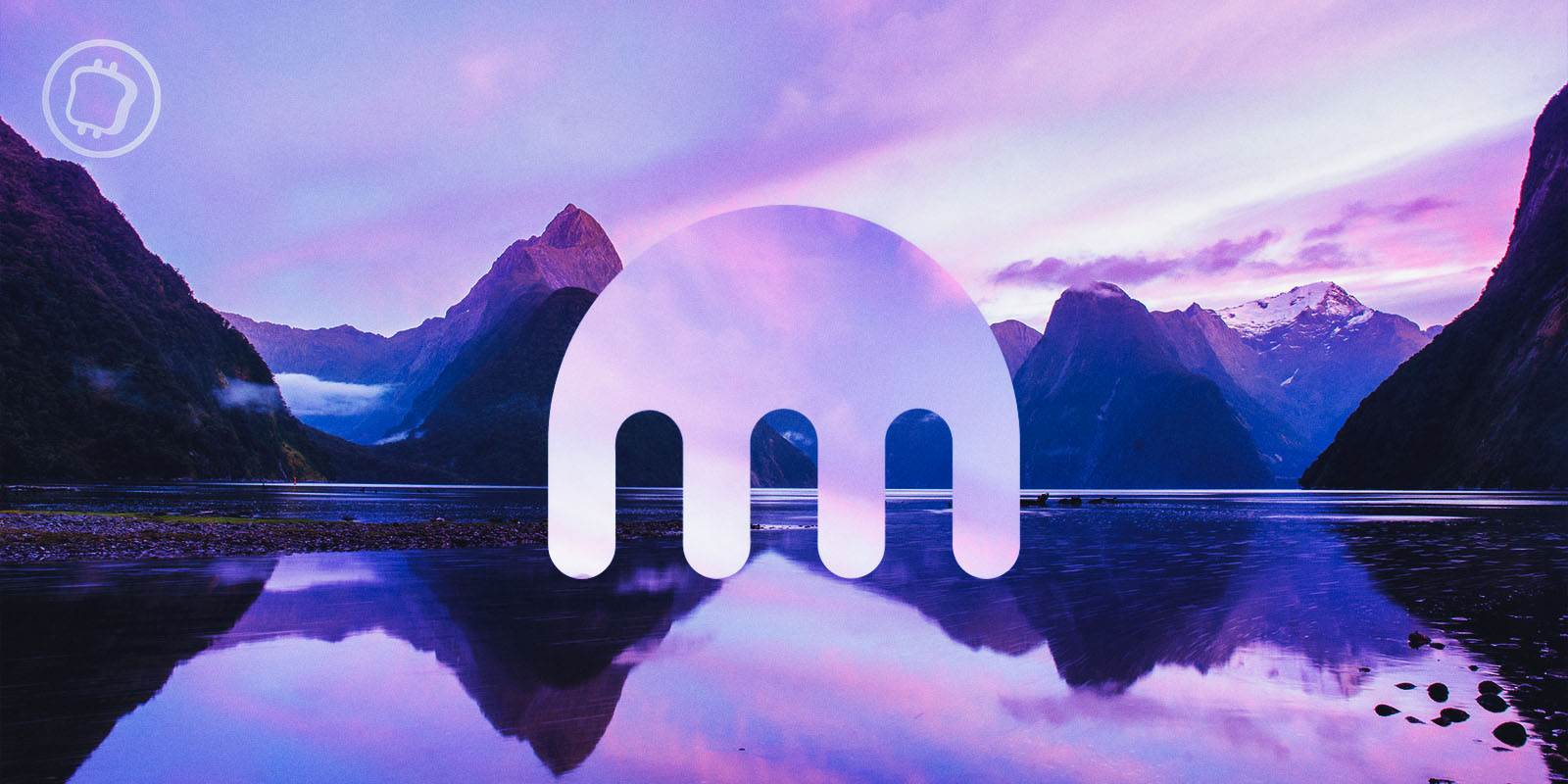 Hiver crypto : Kraken licencie 30 % de son personnel