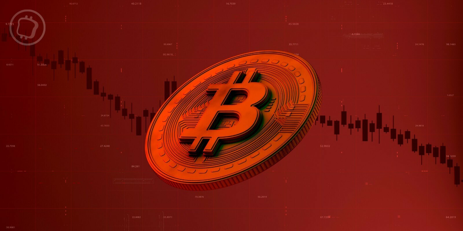 Retraits massifs sur les plateformes d’échange – Les utilisateurs fuient les hot wallets