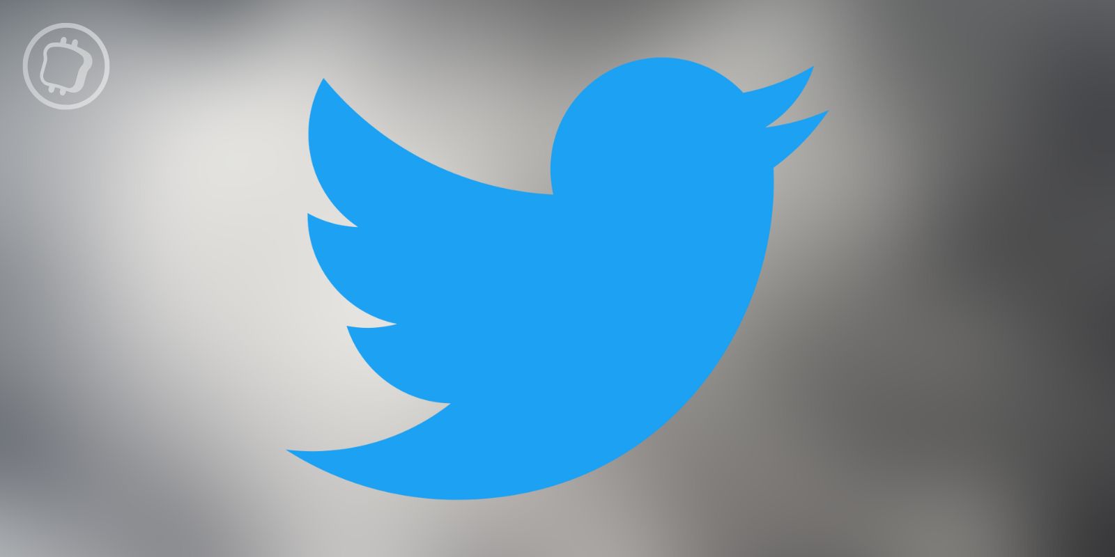 Twitter : la responsable du service cryptomonnaies donne sa démission