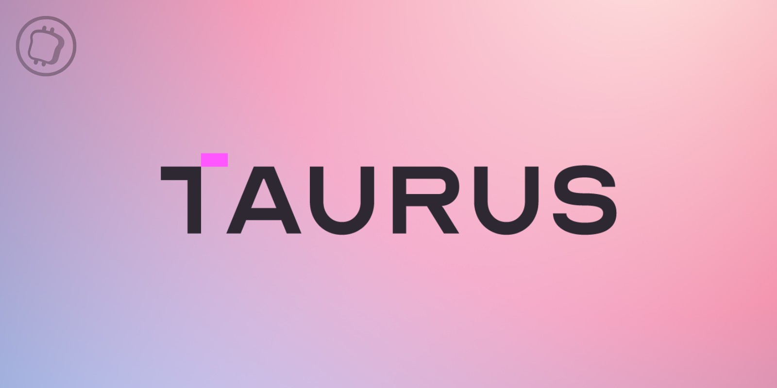 Taurus lève 65 millions de dollars auprès de plusieurs banques