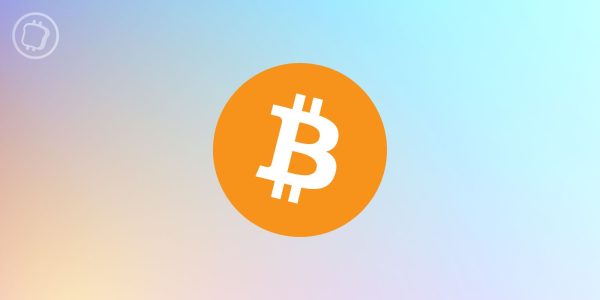 Comment sont utilisées les cryptomonnaies par les investisseurs ?