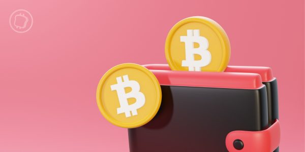 1 million d'adresses détiennent désormais plus de 1 Bitcoin (BTC)