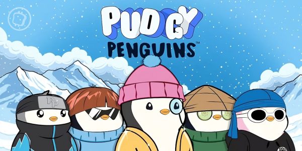 NFT : le projet Pudgy Penguins lève 9 millions de dollars pour développer sa feuille de route