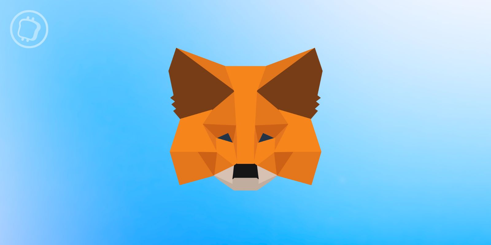 FUD : le wallet MetaMask peut-il réellement retenir vos cryptomonnaies pour les impôts ?