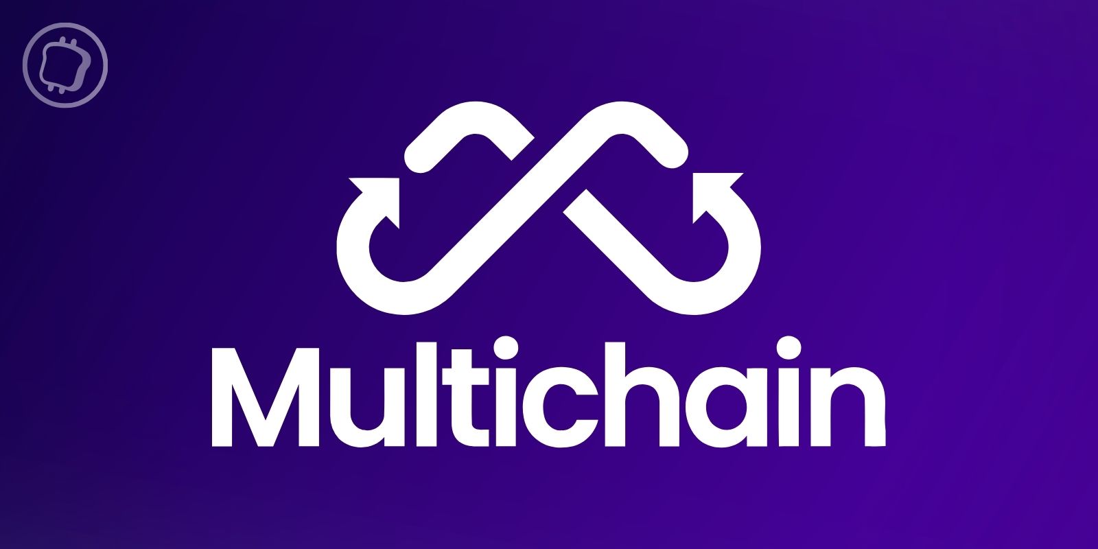 Le bridge Multichain suspend ses services sur 11 blockchains tandis que son PDG reste injoignable