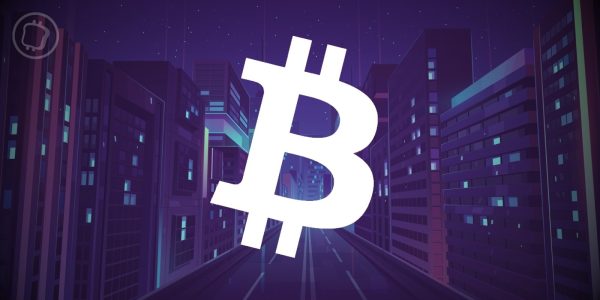 Ordinals – Le metaverse arrive sur Bitcoin (BTC) grâce à Bitmap Theory