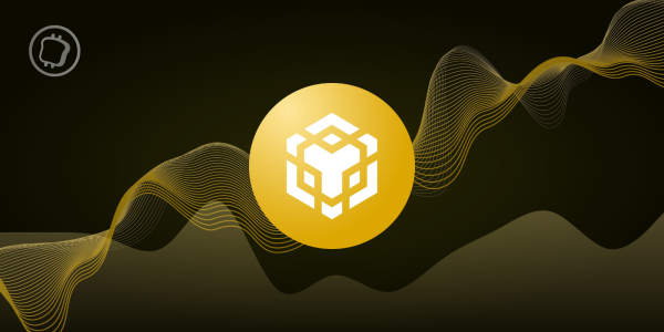 Un demi-milliard de dollars parti en fumée - Binance brûle 2 millions de BNB