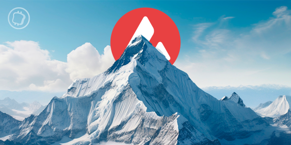 Avalanche, pionnier de la tokenisation ? La fondation alloue 50 millions de dollars pour l'achat d'actifs tokenisés