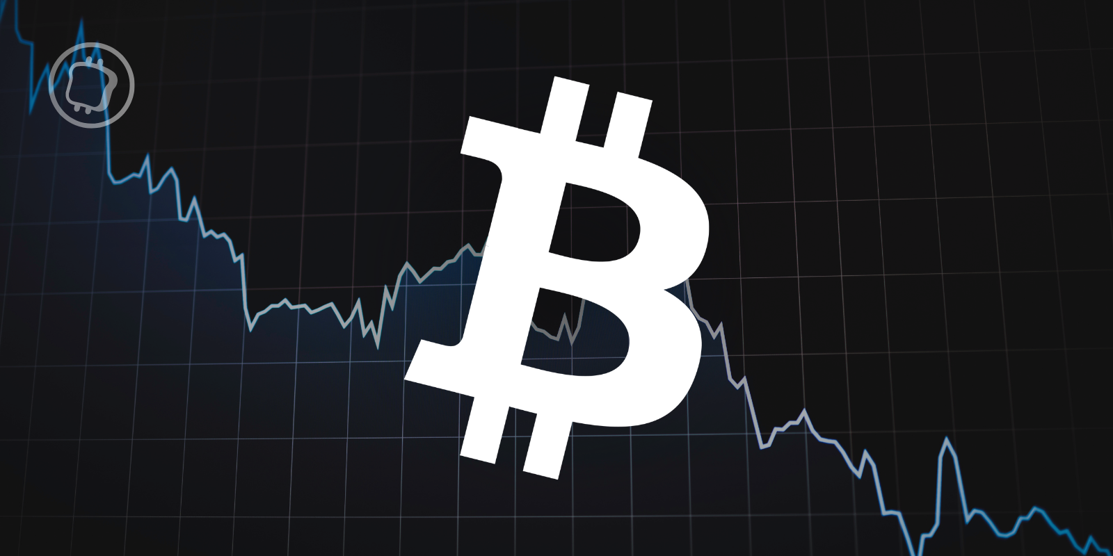 Cryptomonnaies : les volumes de transactions ont été divisés par 2,5 sur le dernier trimestre